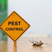 pest control techniques