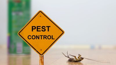 pest control techniques