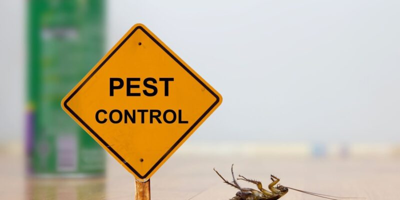 pest control techniques