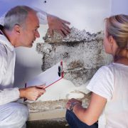 mold removal