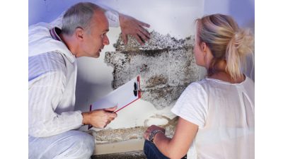 mold removal