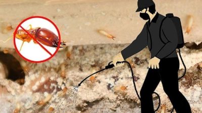 Pest Control
