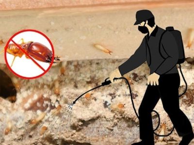 Pest Control
