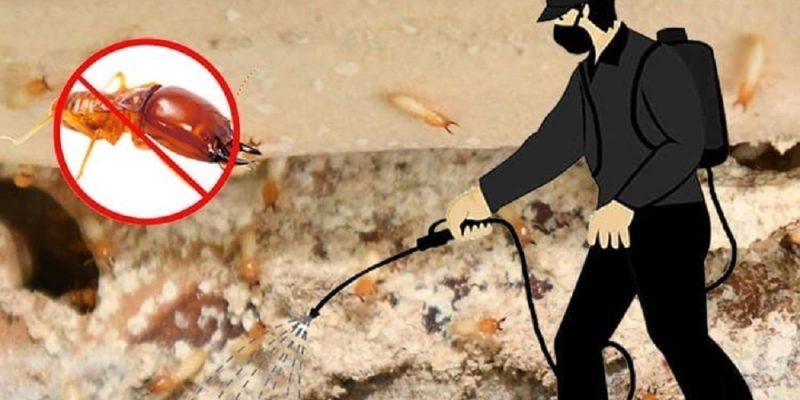 Pest Control